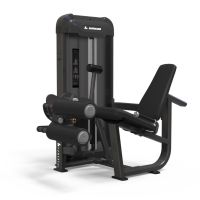 Binom Powerful P10 Settoriali Doppia 123 Kg Estensione / Leg Curl